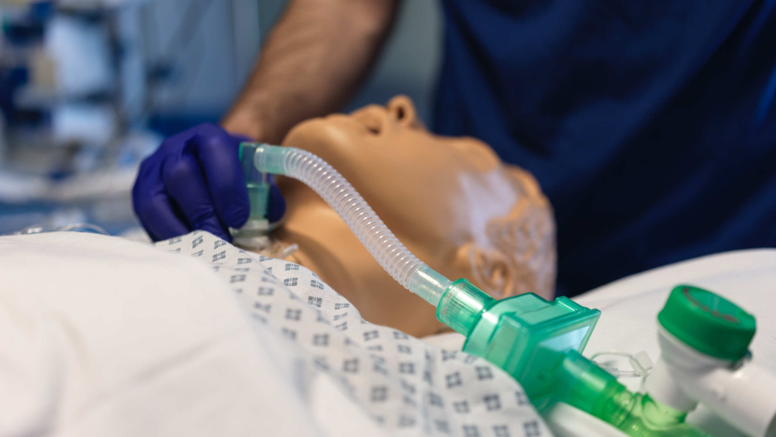 Image for task: Normal upper airway with an established tracheostomy