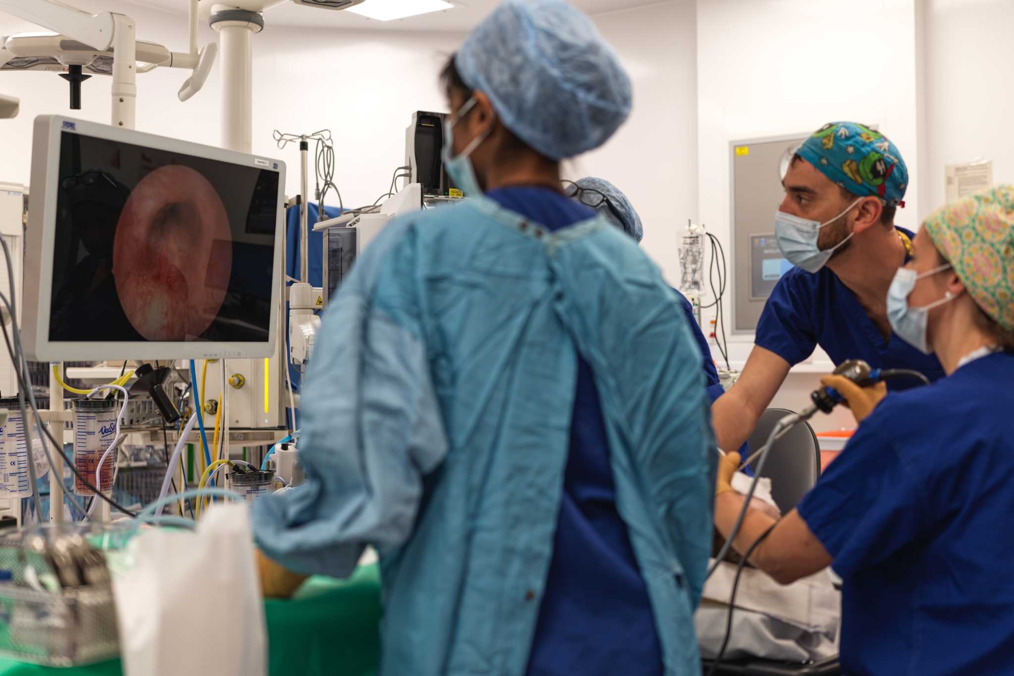 Image for task: Laryngo-tracheo-bronchoscopy Patient 2