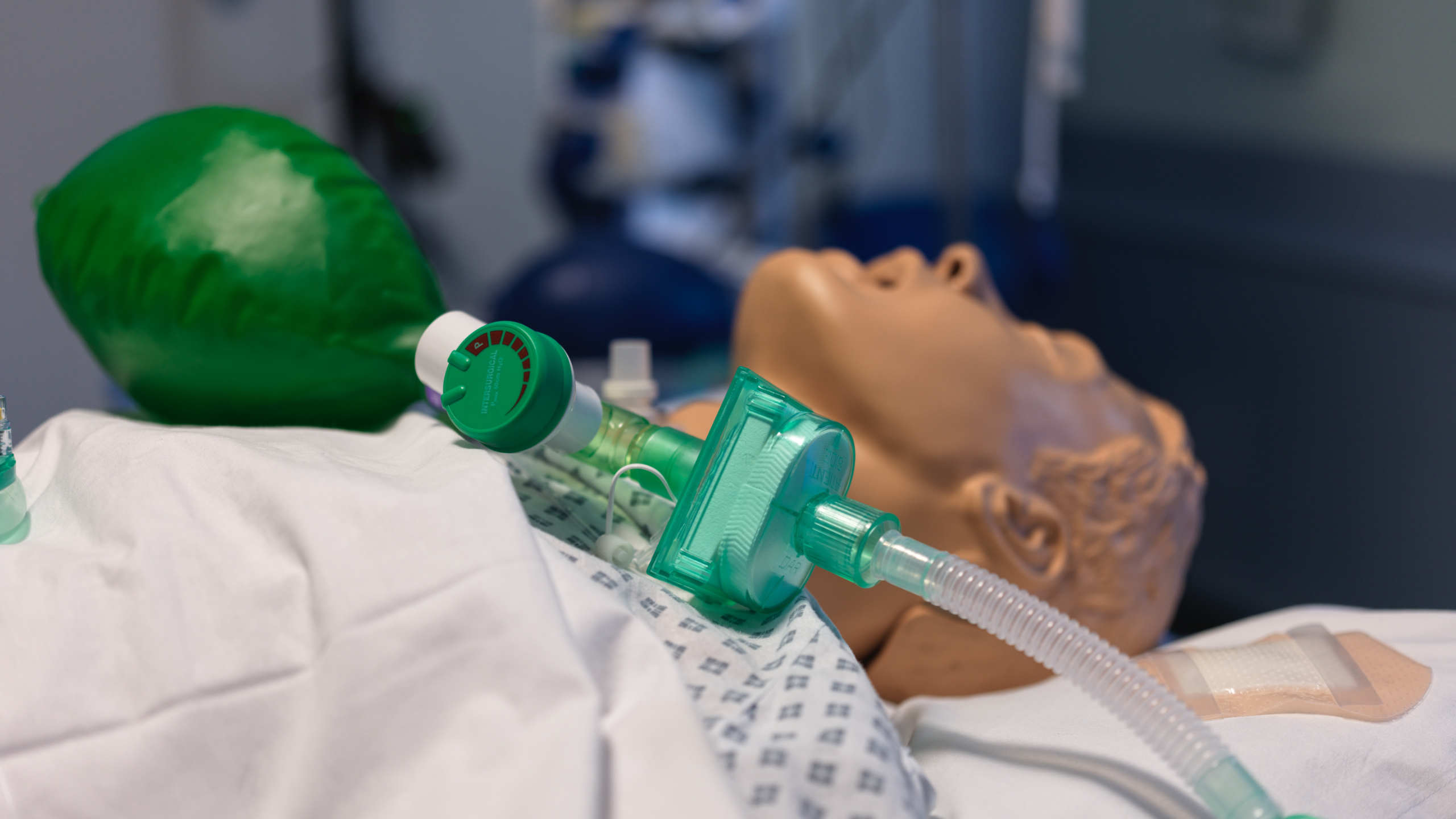 Image for task: Difficult upper airway and established tracheostomy