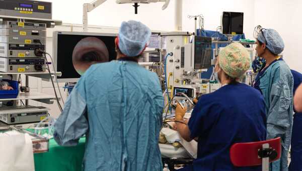 Photograph in an operating theatre of the backs of medics performing a procedure. They are viewing a screen in the background showing an image from the instruments they are holding.