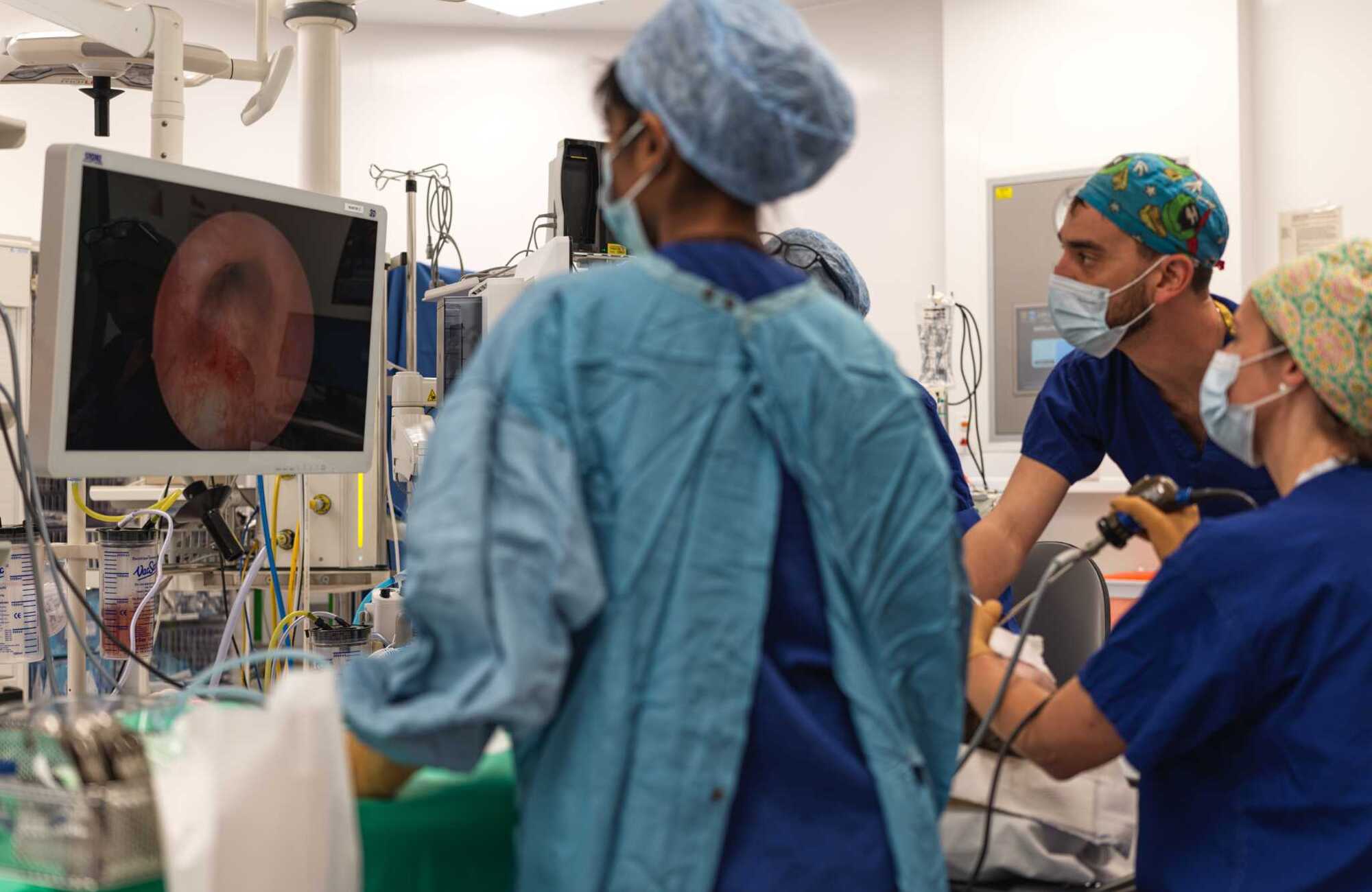 Photograph in an operating theatre of the backs of medics performing a procedure. They are viewing a screen in the background showing an image from the instruments they are holding.